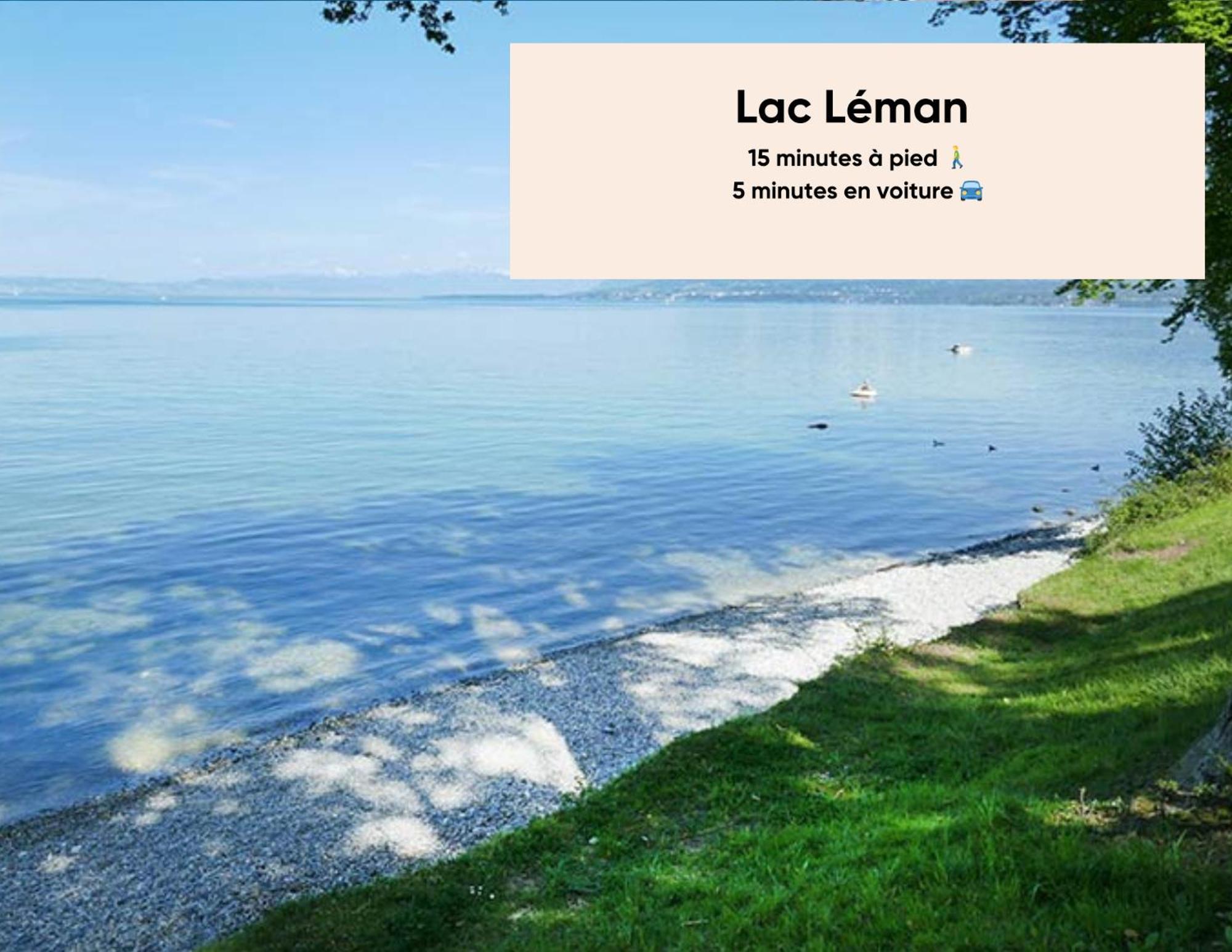Cosy Et Moderne - Dent D'Oche Apartment Thonon-les-Bains Luaran gambar